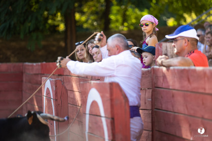 Course landaise à Panjas