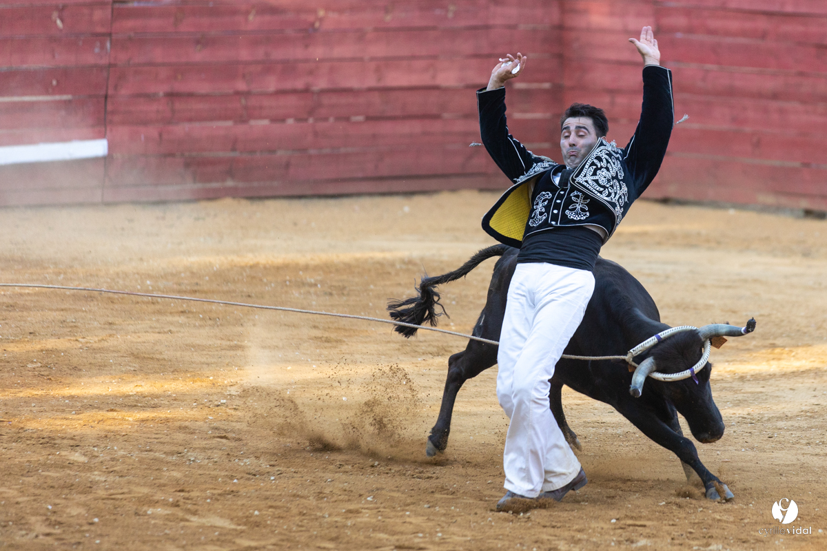 Course landaise à Panjas