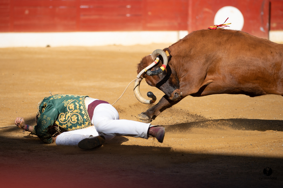 Mont-de-Marsan championnat de France de course landaise 2019