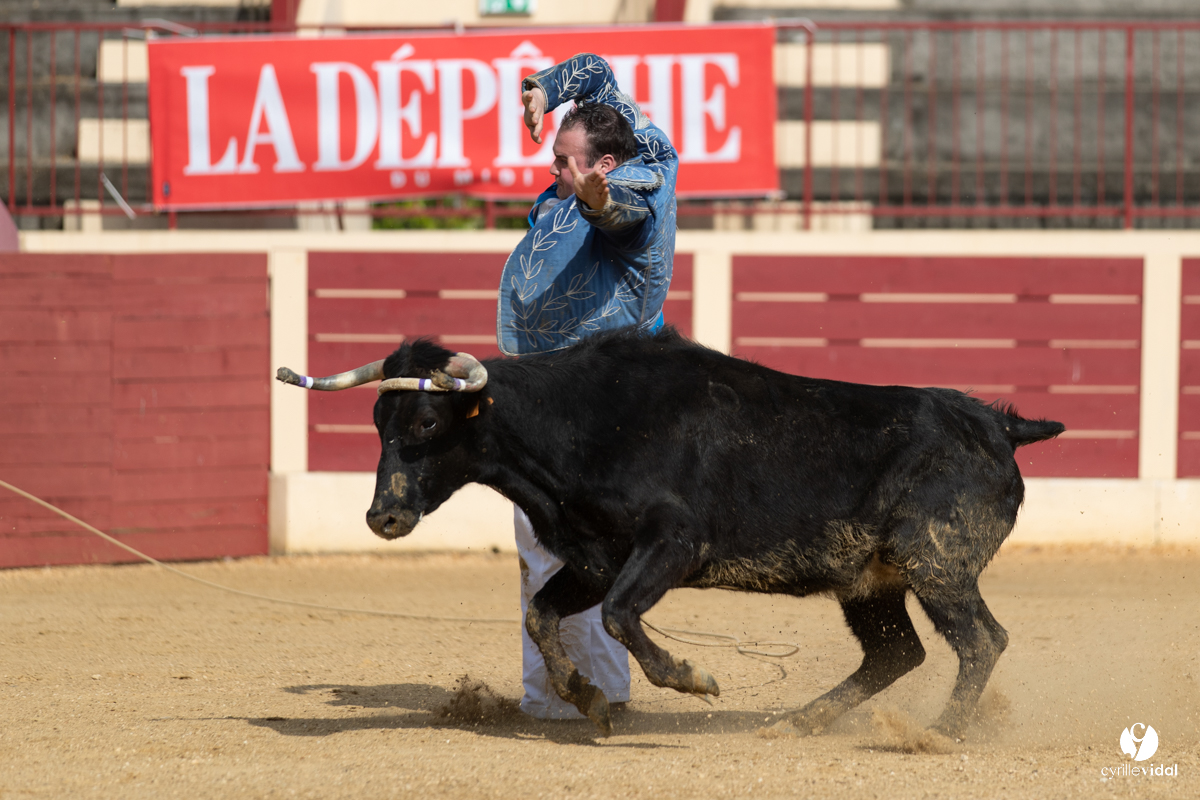 Course landaise Le Houga Ganadéria Dussau Cuadrilla Alexandre Brethes