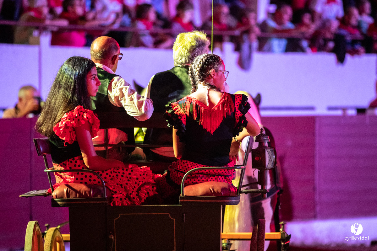 Landes émotions à Aire-sur-l'Adour