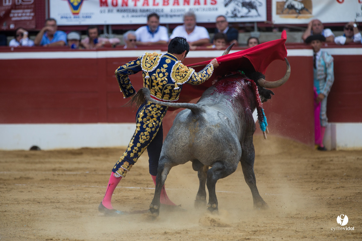 Mont-de-Marsan corrida d'Adolfo Martin