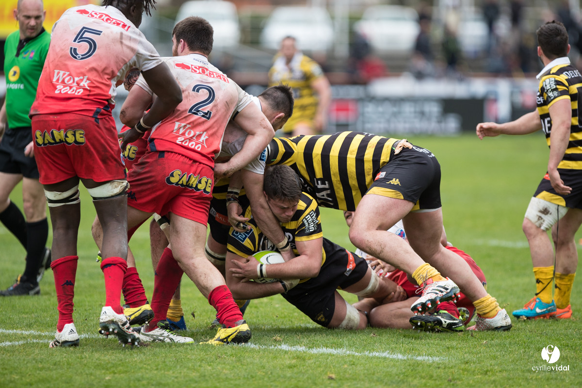 Stade Montois Rugby - Grenoble