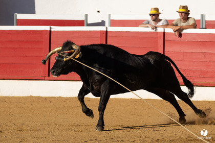 Nogaro Corne d'Or 2023