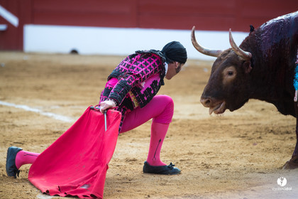 Mont-de-Marsan corrida de Jandilla pour Padilla - Talavante - Roca Rey