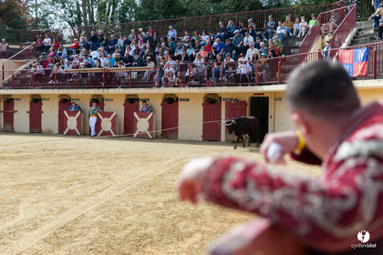Course landaise Le Houga Ganadéria Dussau Cuadrilla Alexandre Brethes