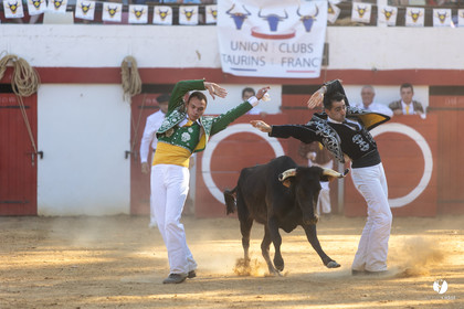 Course landaise à Panjas