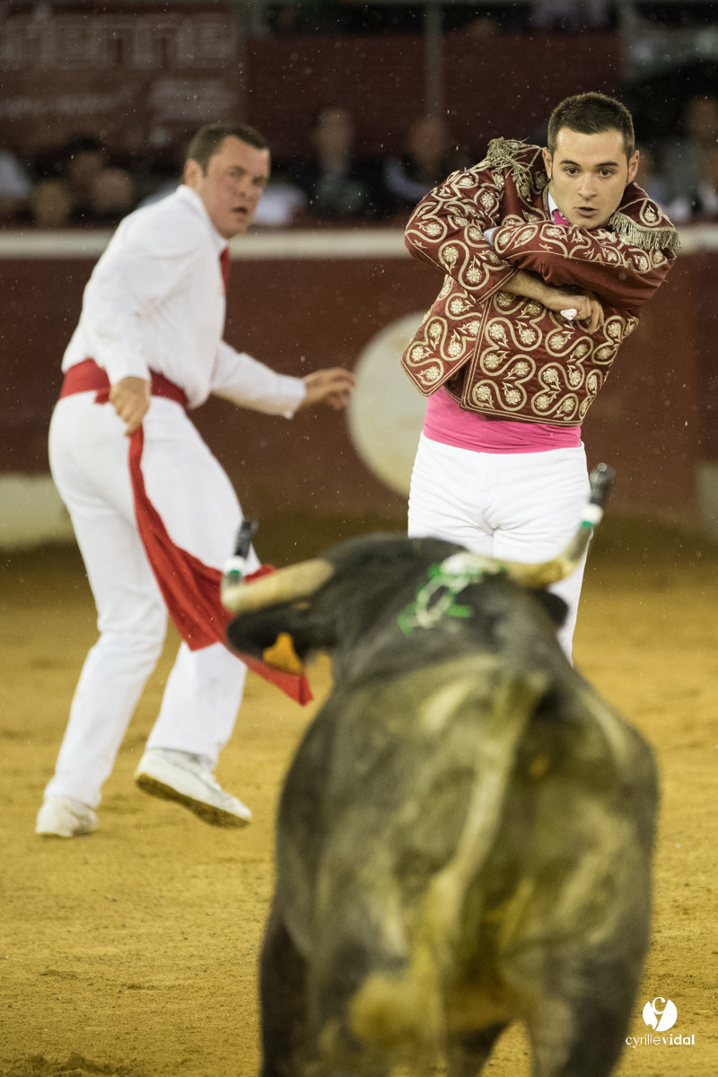 Mont-de-Marsan festival Art et Courage