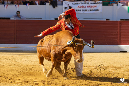 Aire-sur-l'Adour Championnat de France de course landaise 2023