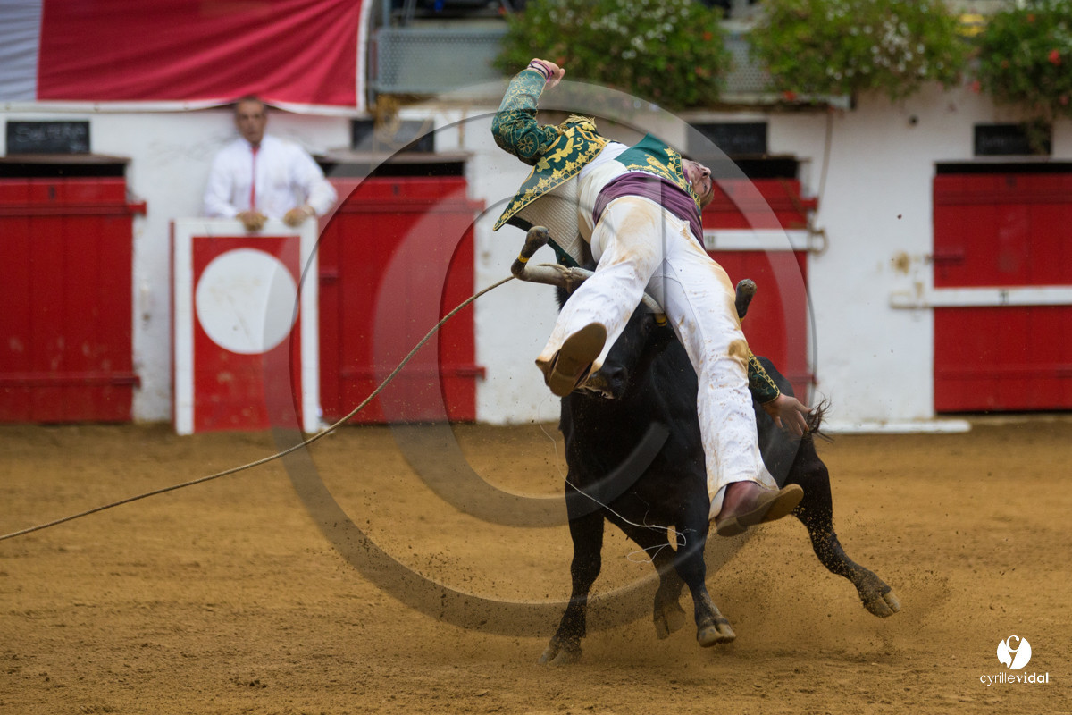 Nogaro Championnatde France de Course Landaise 2017