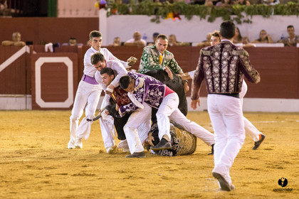 Aire sur l'Adour course landaise génération Aturine
