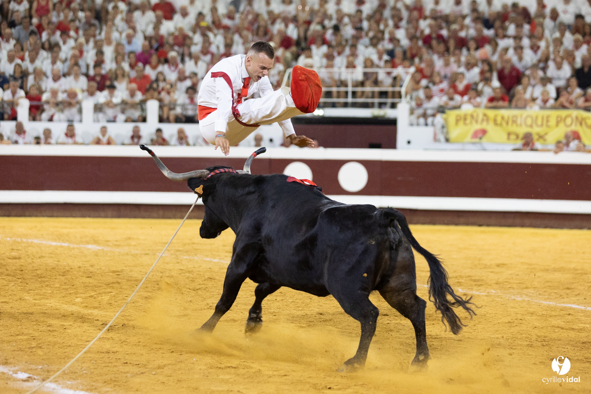 Dax concours landais 2022