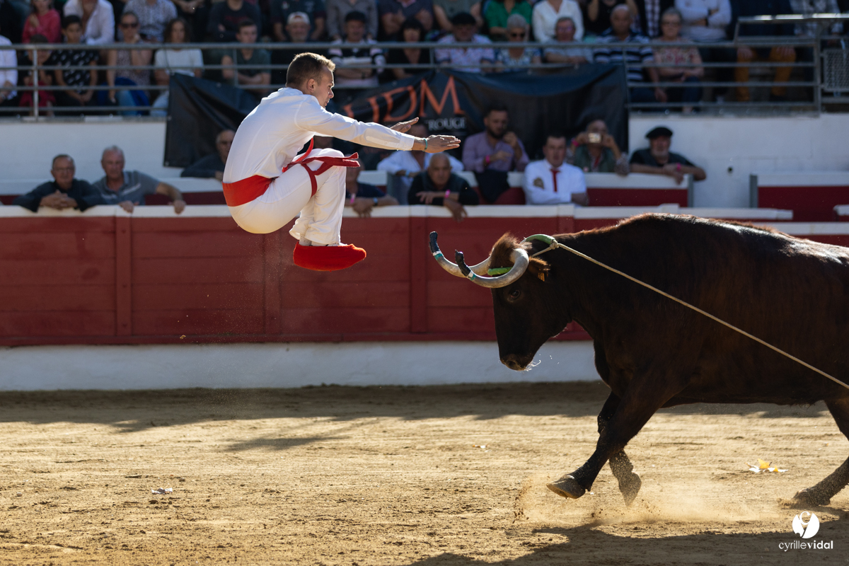 Nogaro Championnat de France de course landaise 2022