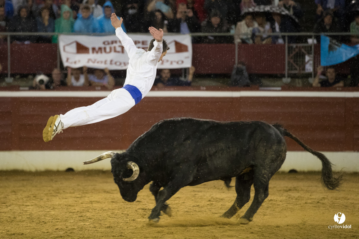 Mont-de-Marsan festival Art et Courage