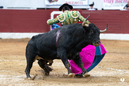 Corrida d'Aire sur l'Adour