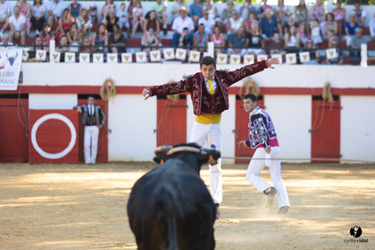 Course landaise à Panjas