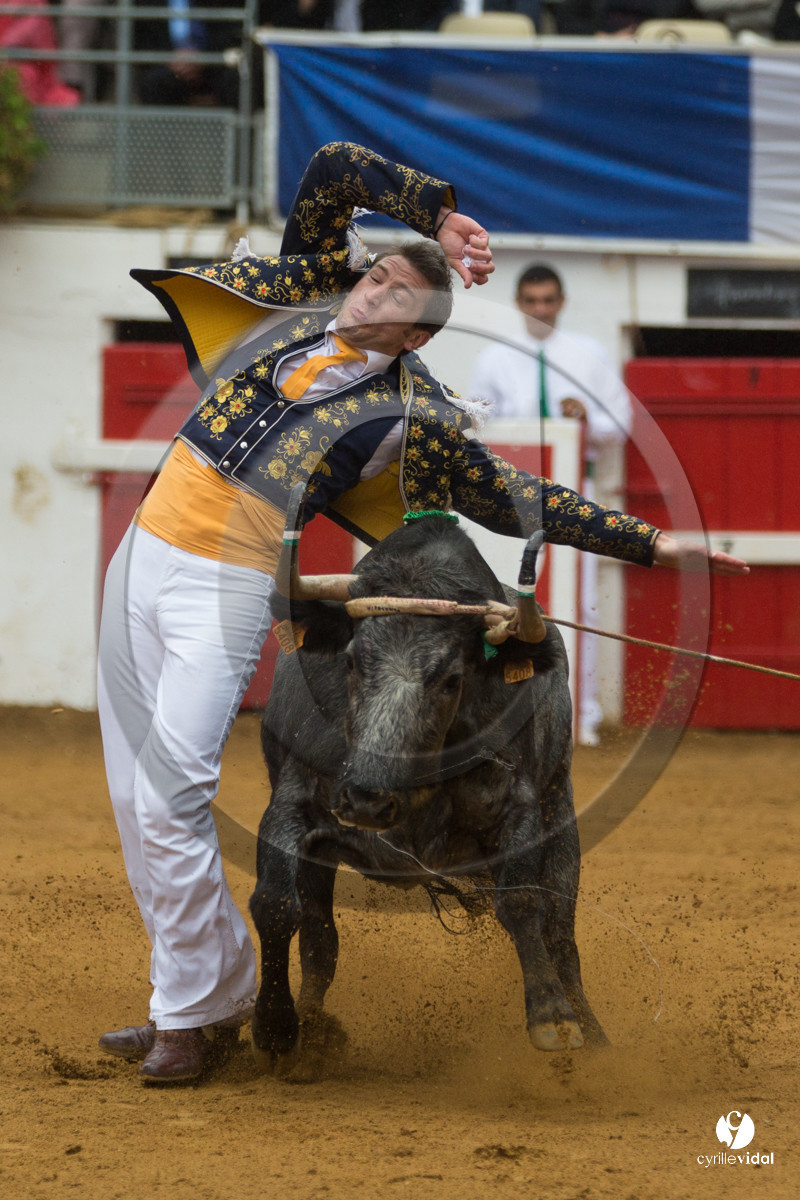 Nogaro Championnatde France de Course Landaise 2017