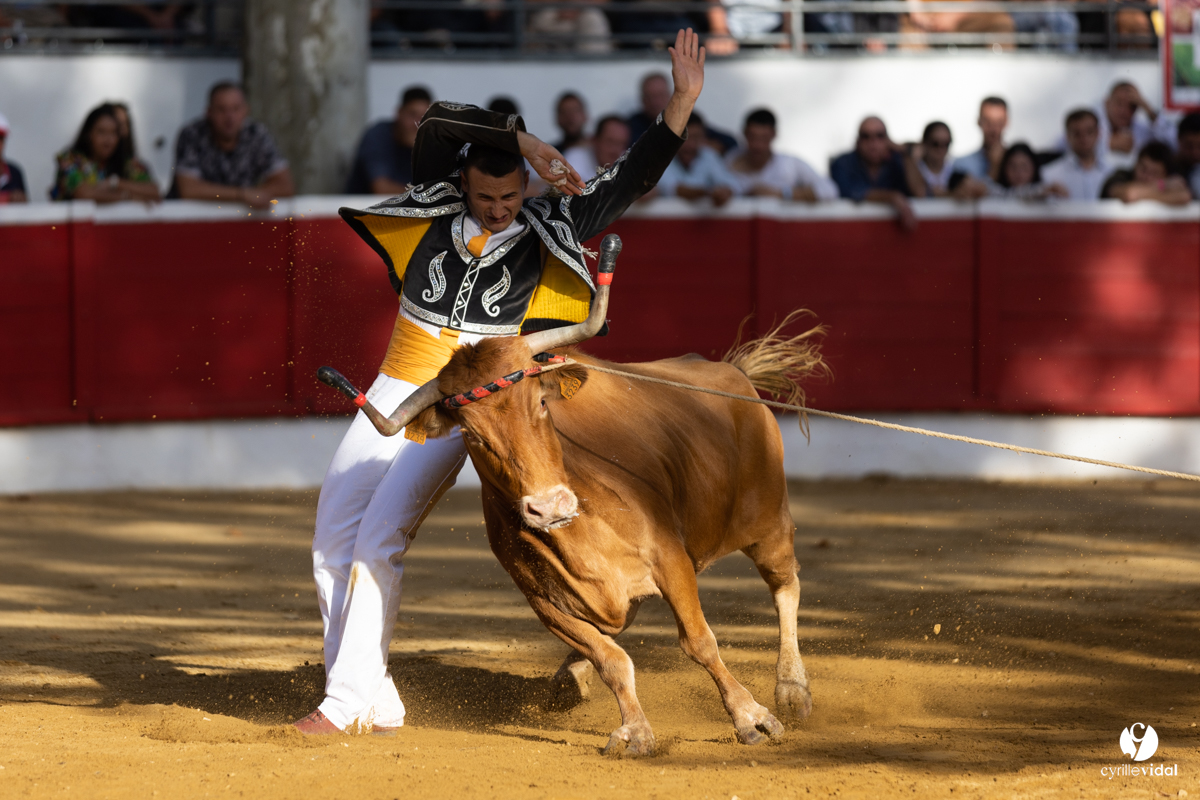 Nogaro Championnat de France de course landaise 2022