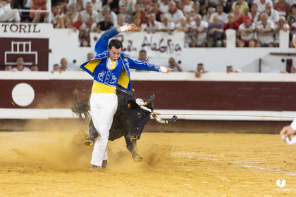 Dax concours landais 2022