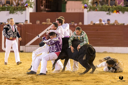 Aire sur l'Adour course landaise génération Aturine