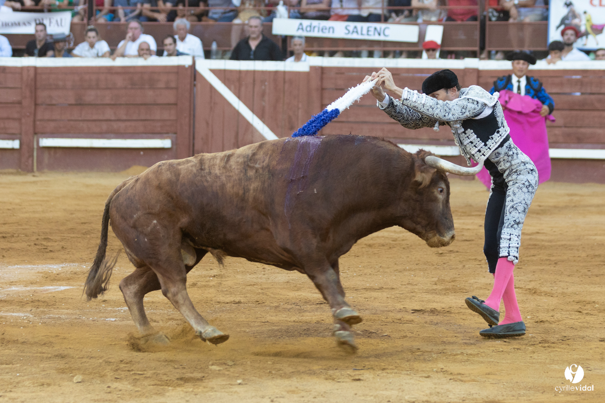 Corrida de Villeneuve-de-Marsan