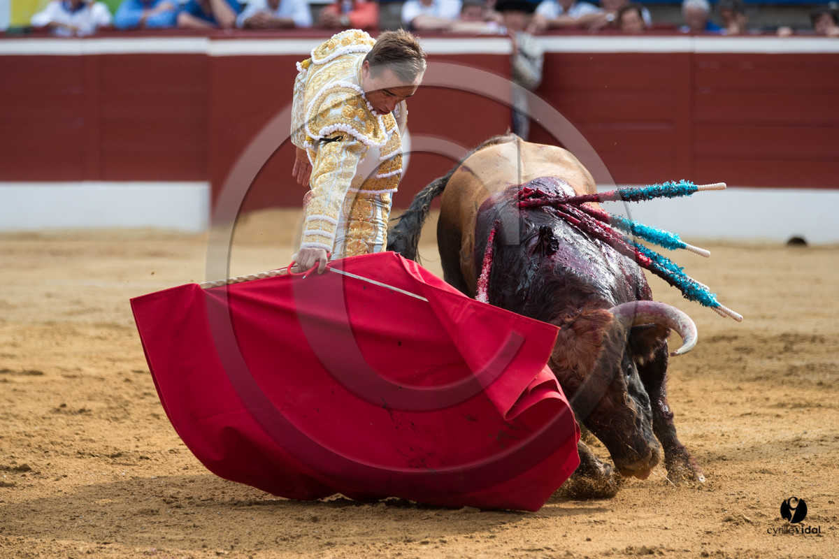 Mont-de-Marsan corrida de Garcigrande pour El Juli et Juan Bautista
