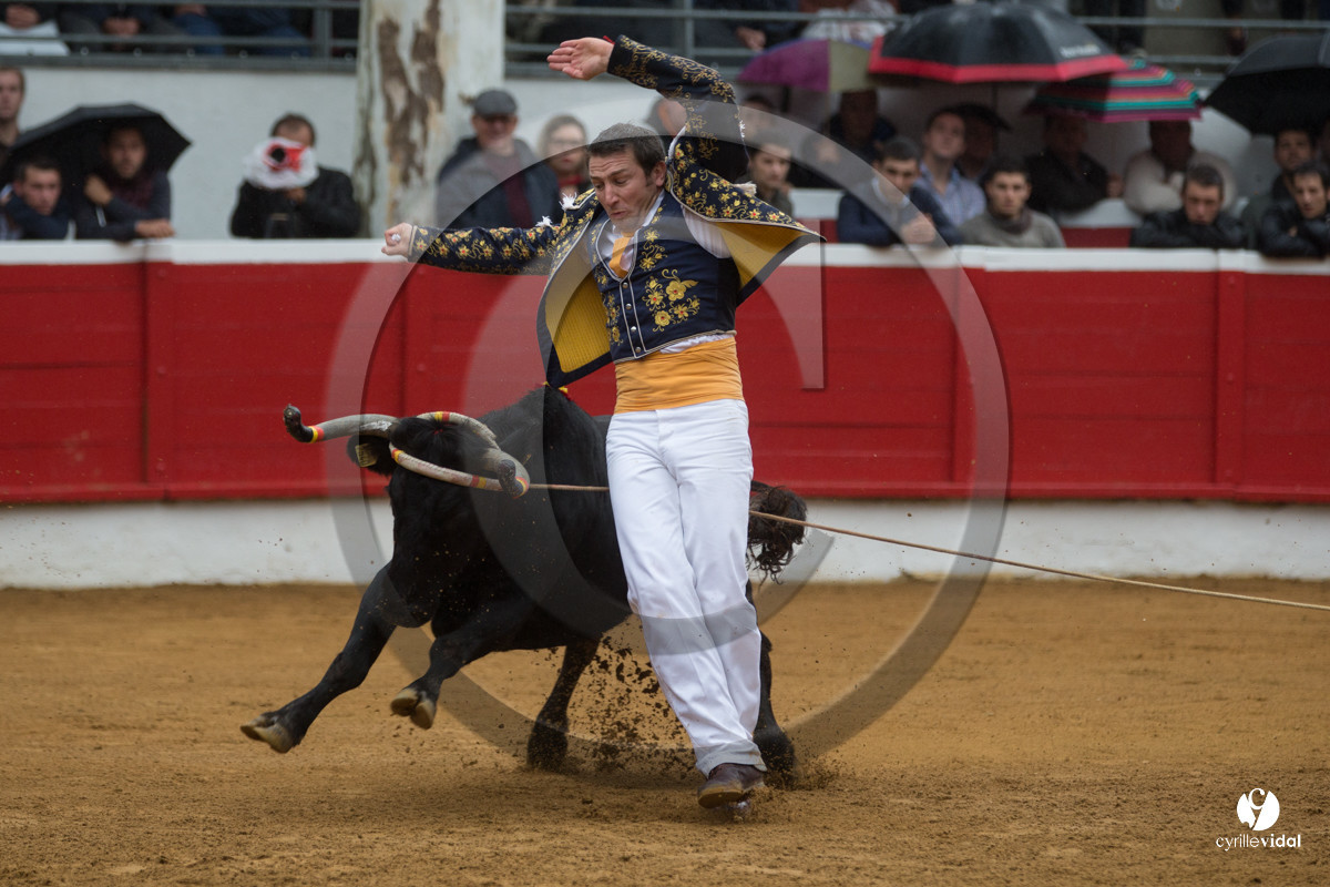 Nogaro Championnatde France de Course Landaise 2017