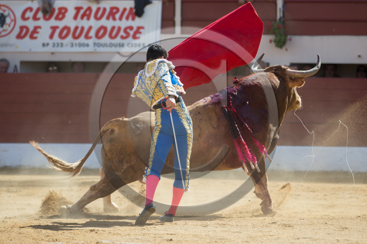 corrida, toro, vic fezensac, alcurrucen, michelito, morenito de aranda