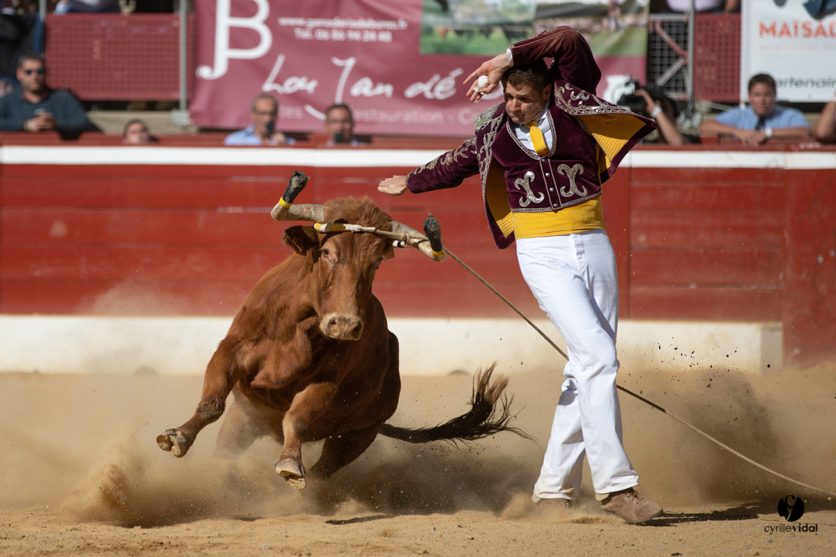 Mont-de-Marsan championnat de France de course landaise 2019
