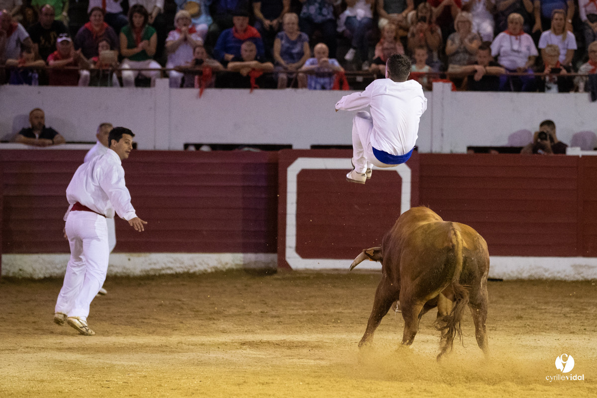 Landes émotions à Aire-sur-l'Adour
