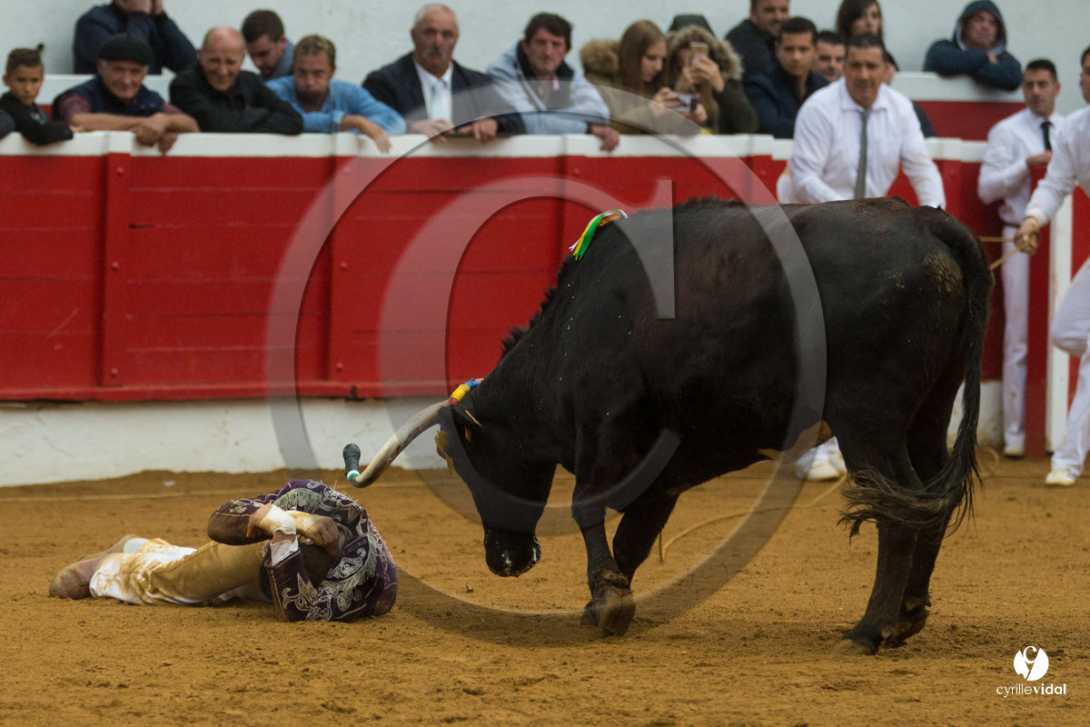 Nogaro Championnatde France de Course Landaise 2017