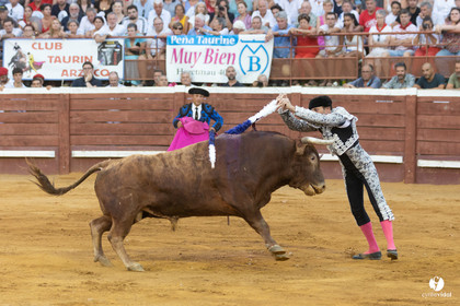 Corrida de Villeneuve-de-Marsan