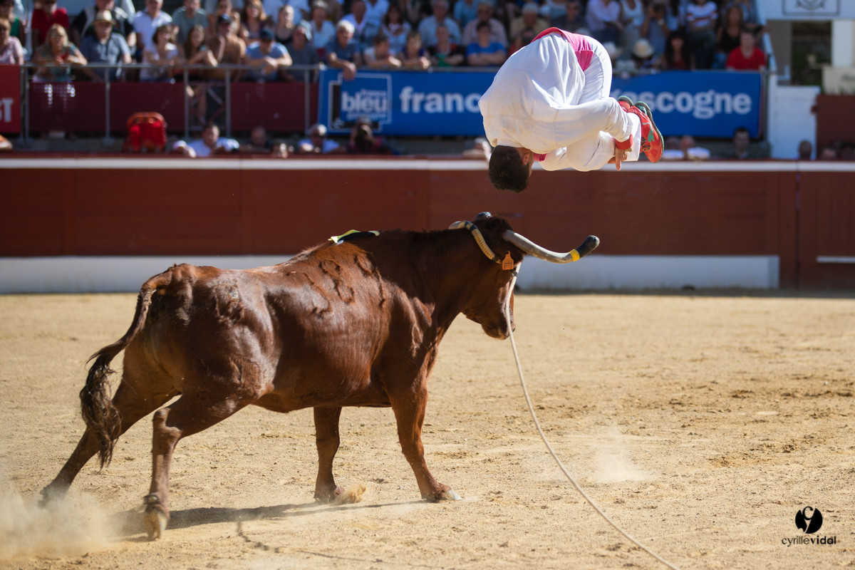 Mont-de-Marsan championnat de France de course landaise 2019