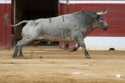 Mont-de-Marsan corrida de la Quinta pour Juan Bautista - Emilio de Justo - Thomas DUFAU
