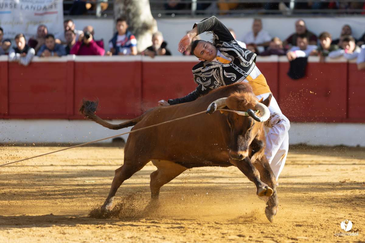 Nogaro Championnat de France de course landaise 2022