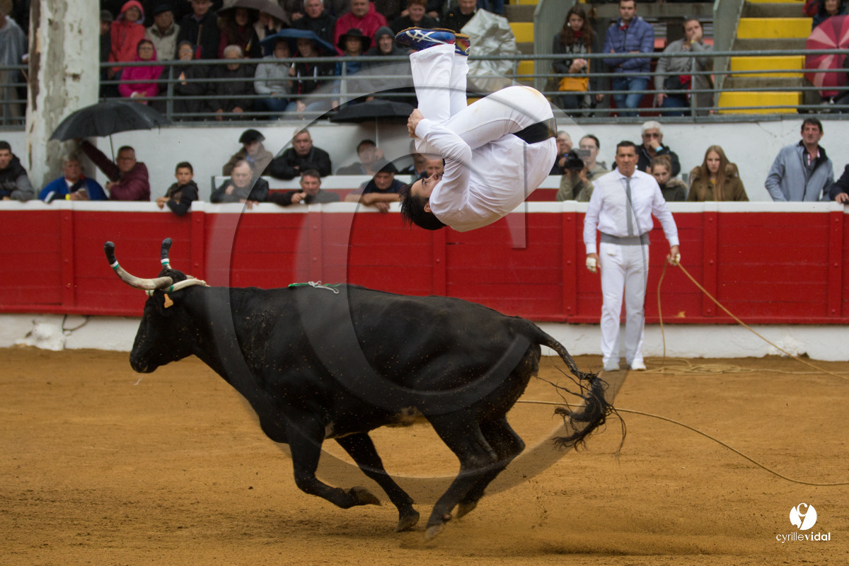 Nogaro Championnatde France de Course Landaise 2017