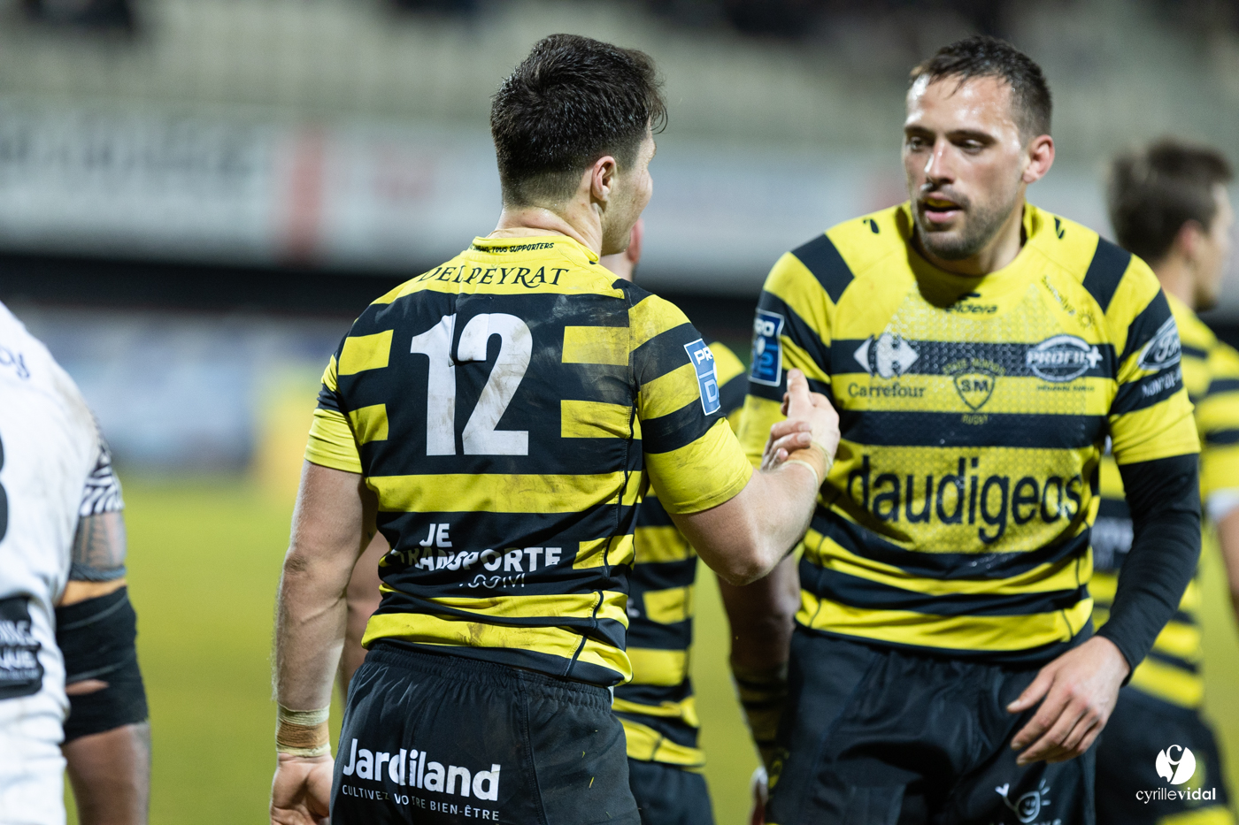 Stade Montois Rugby - Vannes