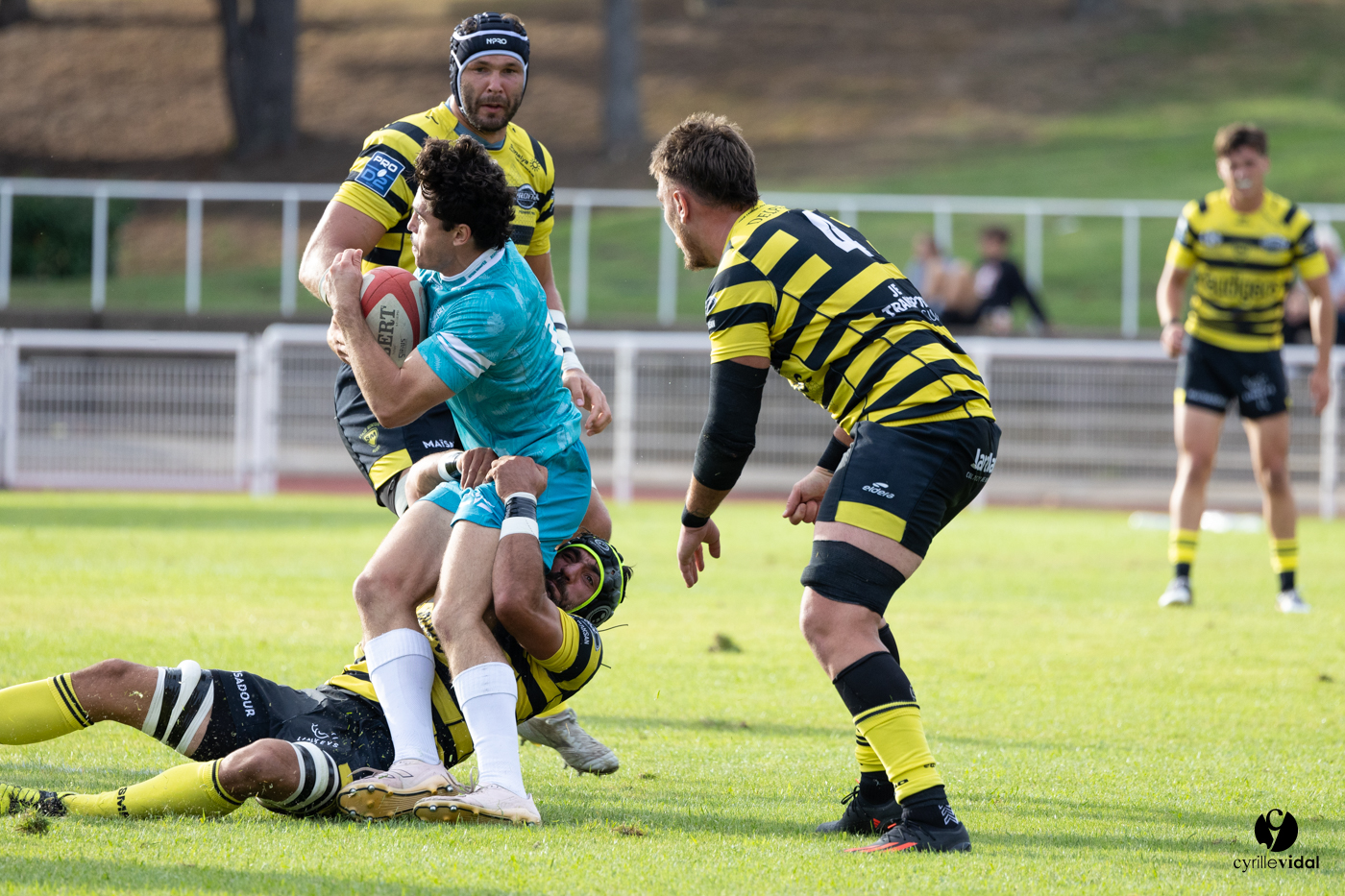 Dax - Stade Montois Rugby
