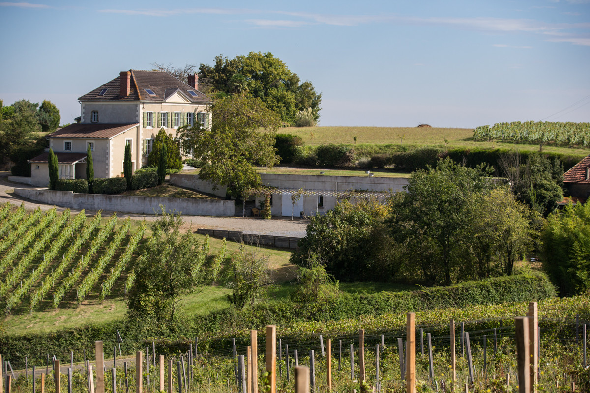 Vignoble Guy et Simon CAPMARTIN