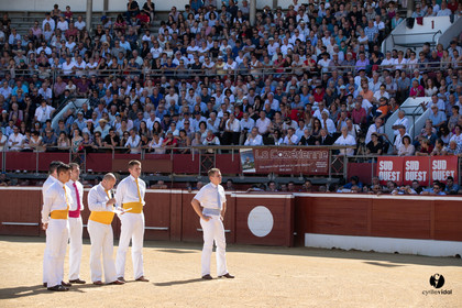 Mont-de-Marsan championnat de France de course landaise 2019