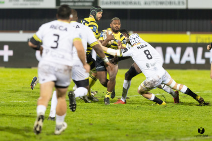 Stade Montois Rugby - Carcassonne