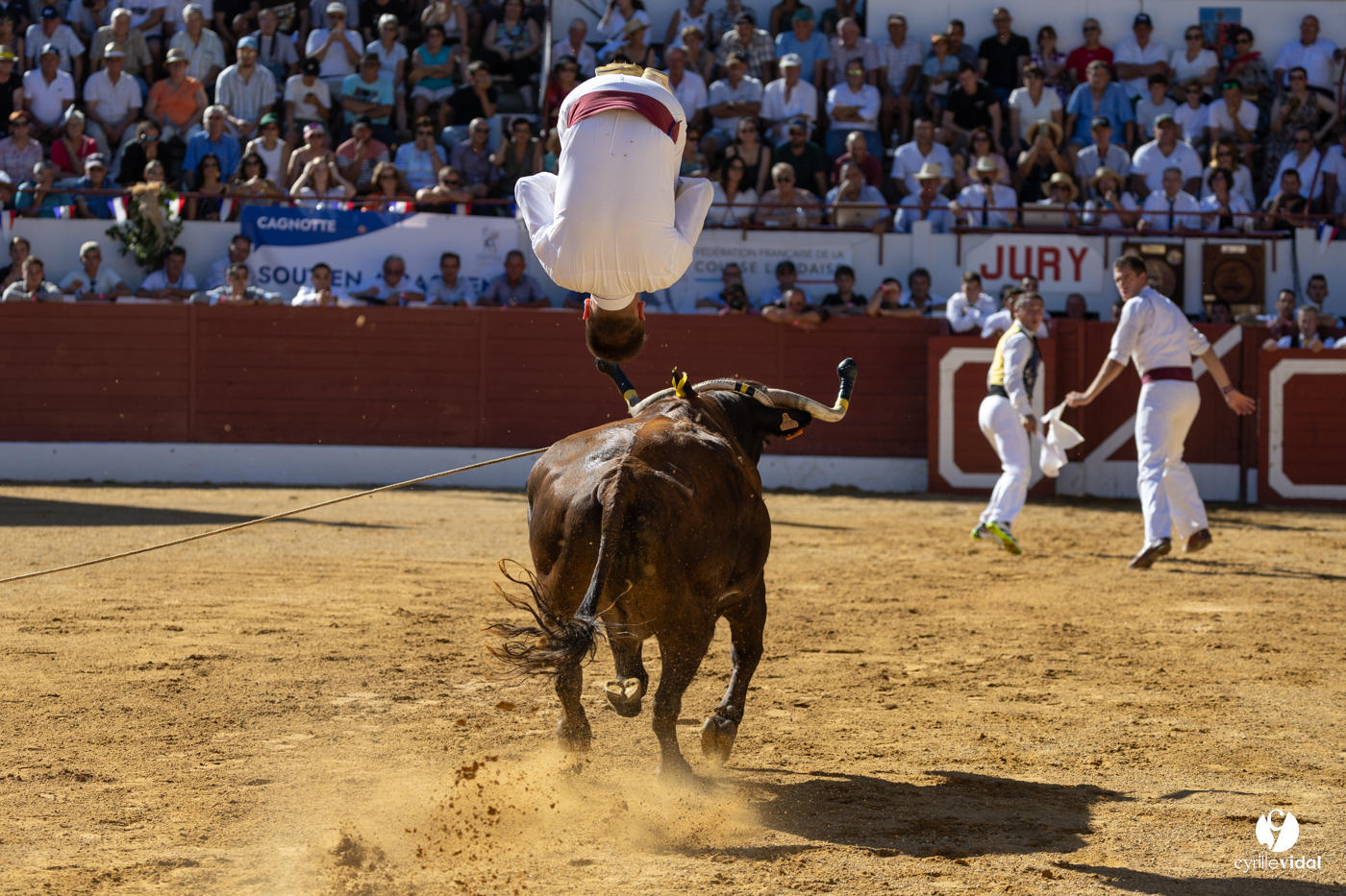 Aire-sur-l'Adour Championnat de France de course landaise 2023