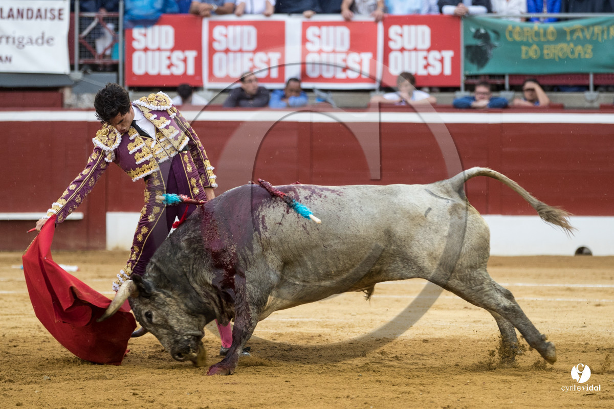 Mont-de-Marsan corrida de la Quinta pour Juan Bautista - Emilio de Justo - Thomas DUFAU