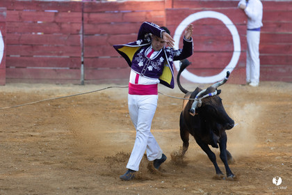 Course landaise à Panjas