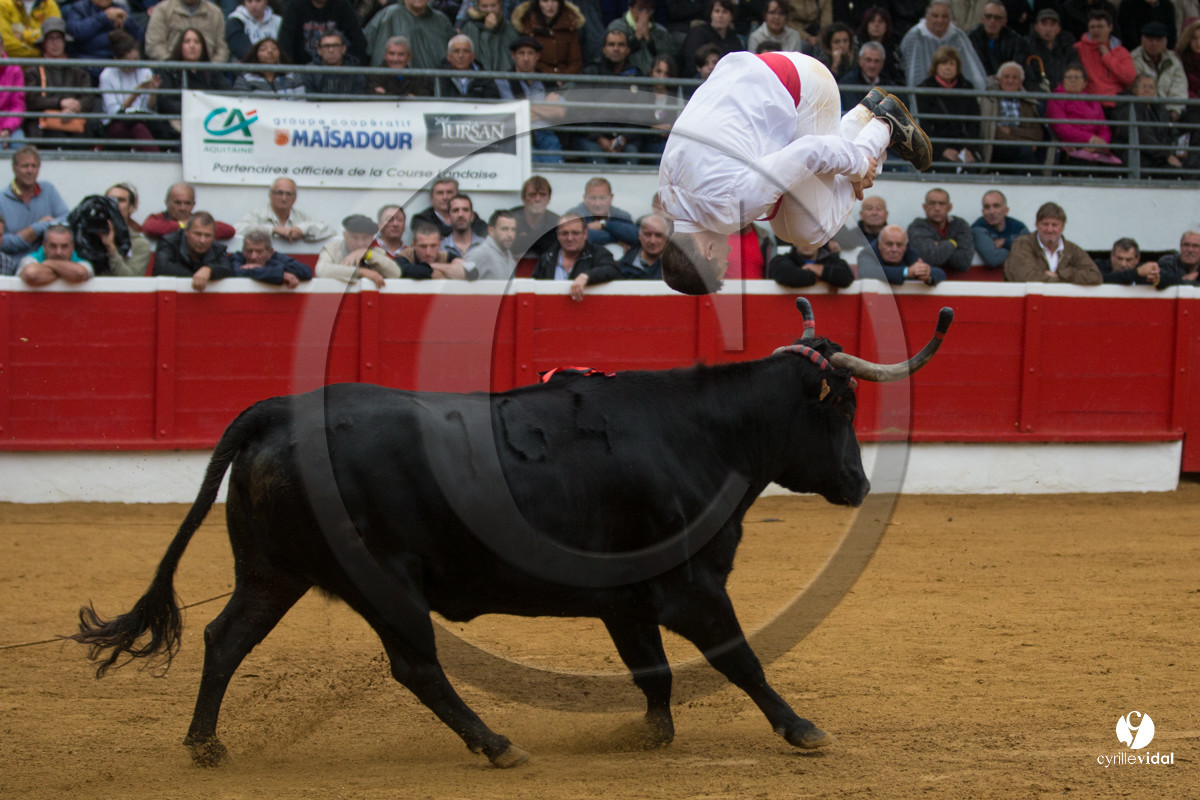 Nogaro Championnatde France de Course Landaise 2017