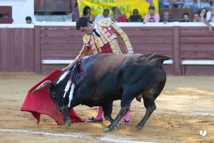 Corrida de Villeneuve-de-Marsan
