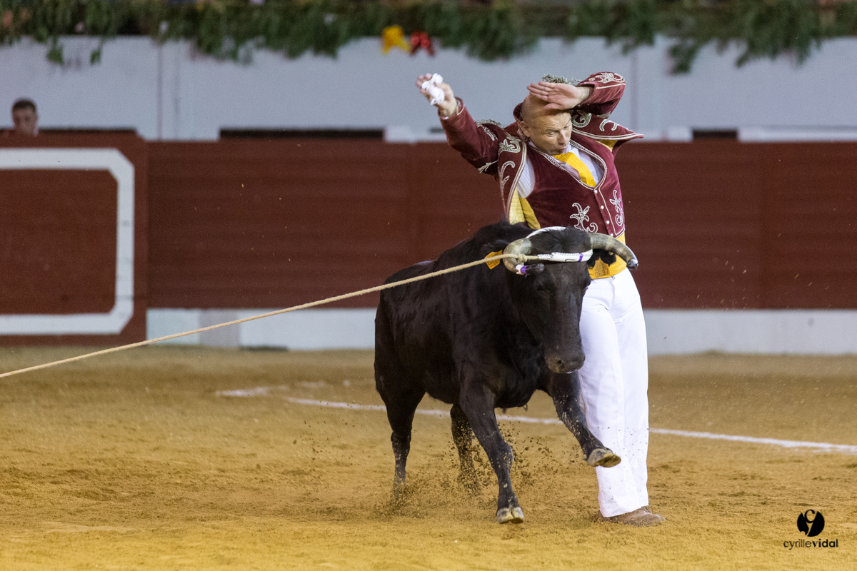 Aire sur l'Adour course landaise génération Aturine
