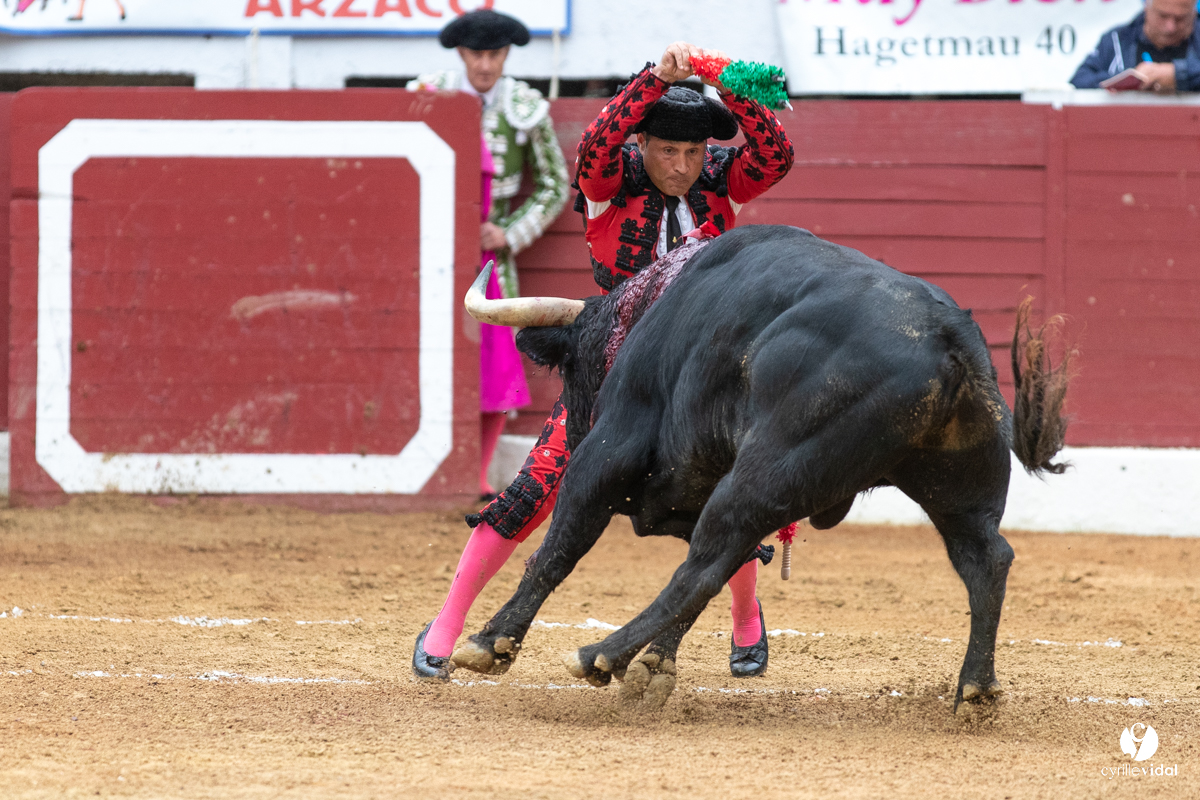 Corrida d'Aire sur l'Adour