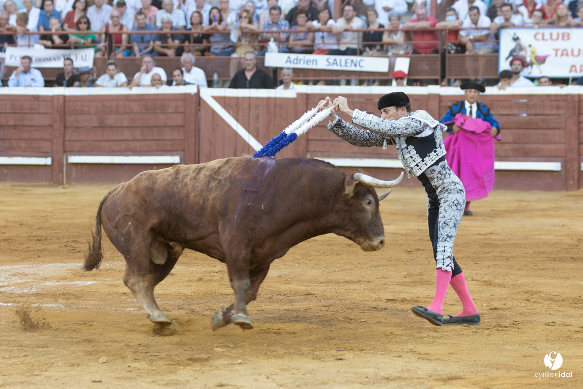 Corrida de Villeneuve-de-Marsan