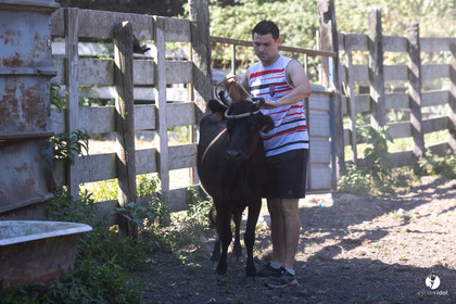 Course landaise à Panjas